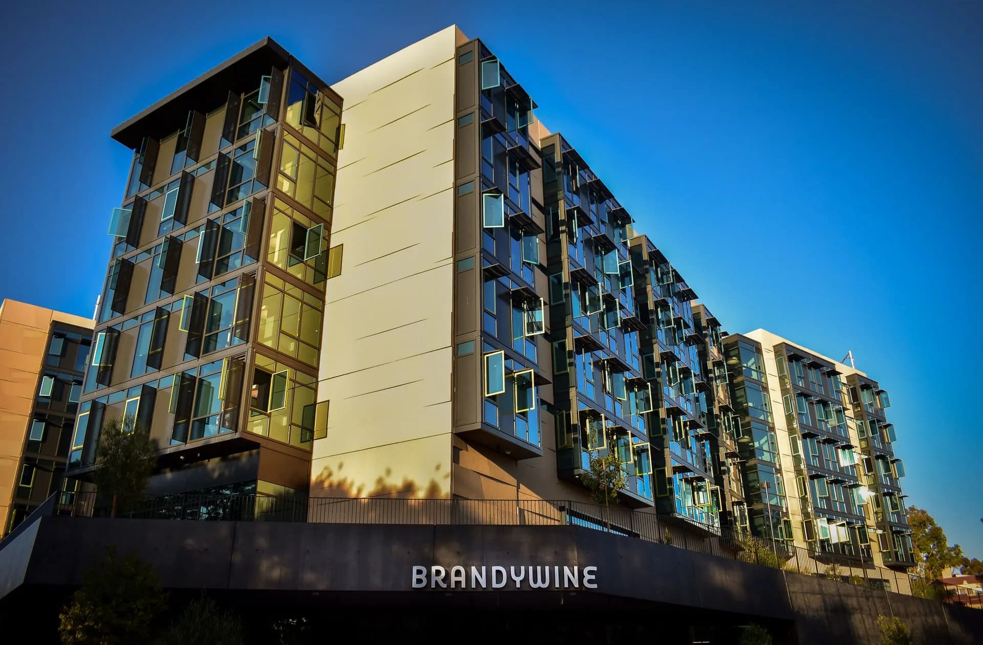 Zotmeal's Logo: a beige anteater with a bushy tail sitting next to an anthill.